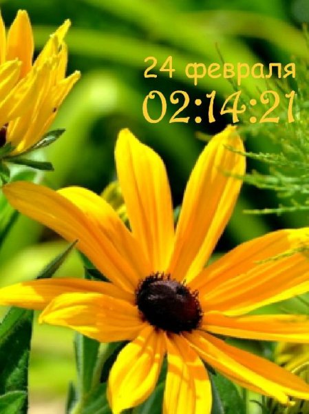 Солнечная