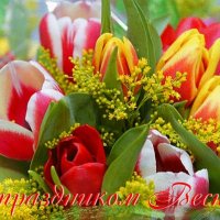 file_61885056