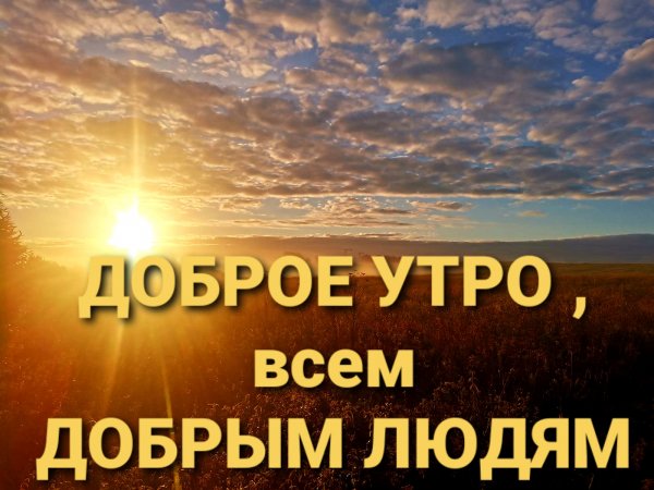 file_91601589