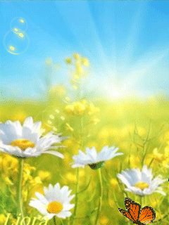 file_61469384