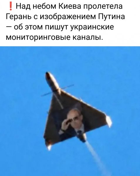 IMG 20261008 151303