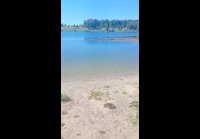 Lv 0 20260814203440