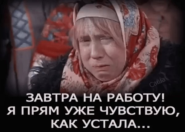 file_77113386