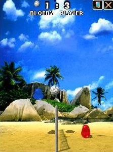 volleyball