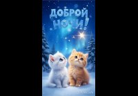 Доброй ночи!!!