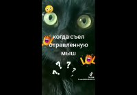 VID 20231219 020538