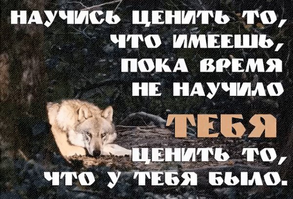 Научись ценить