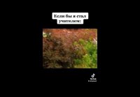 video_109257628