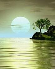 Nature Animation