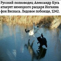 file_83193492