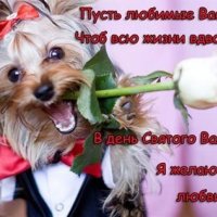 file_43454759