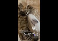 video_109561410