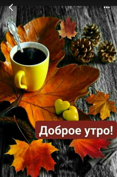 IMG 20181015 191708 221