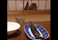 Дай кусочек!