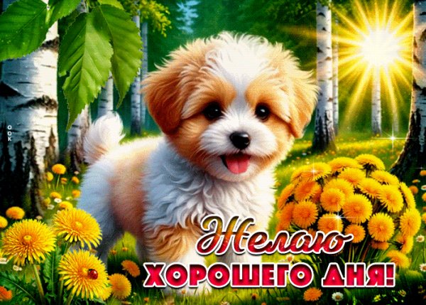 file_100380308