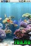 anipet-aquarium-live-wallpaper-v2