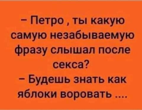 C5a8167a48dd802494316536eb66e9bd