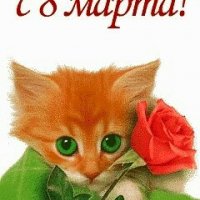 file_61885272