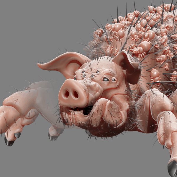 Pig