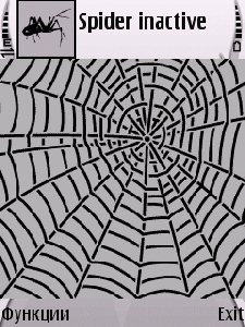 Spider