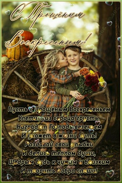 file_92863067