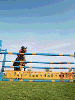 horse-jumping