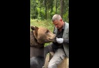 Медведь