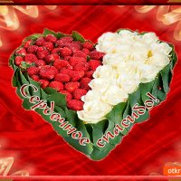 IMG 20161217 205731 0