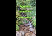 VID-20250327-WA0018