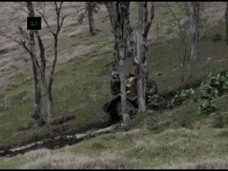 gif 1469039782