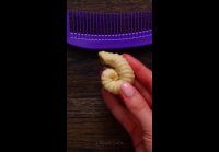 video_88596317