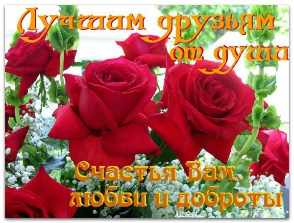 qCMQJKOnCU