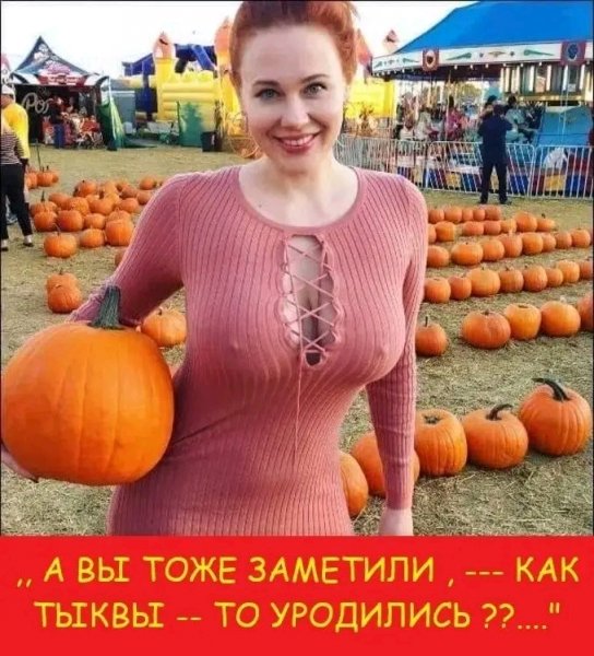 file_103520002