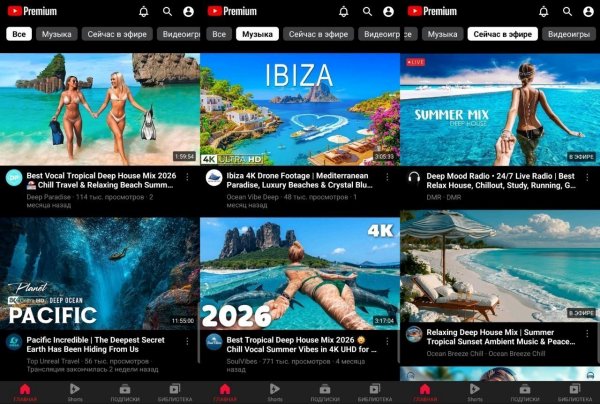 YouTube-5.6.80.393-Mod