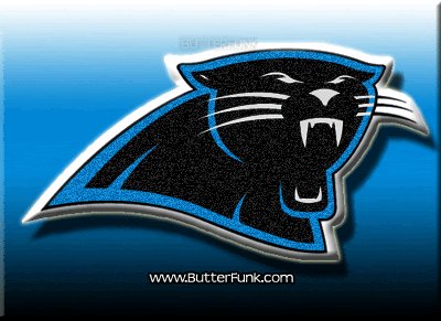 0 nfl football carolina panthers