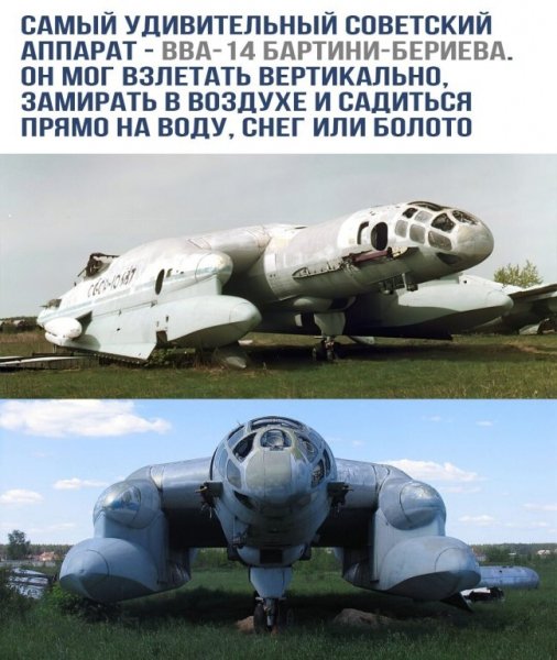 file_93495438