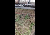 После ночного перегона