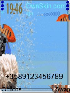 Fish