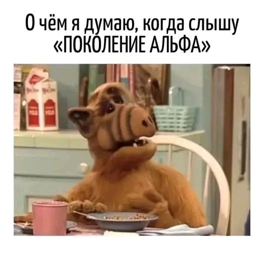 file_103530761