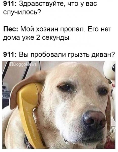 file_102993608