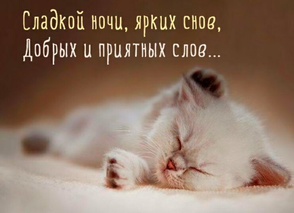 IMG 20181012 210810 641