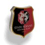 90x90stade-rennais