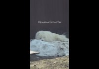 Прощание со снегом