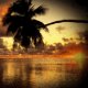 Sea Sunset