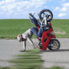 file_28674597