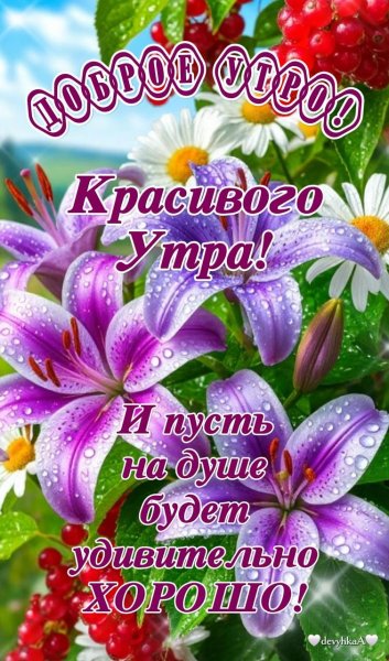 Доброе утро