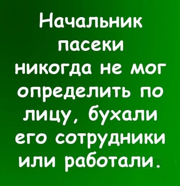 Начальник пасеки