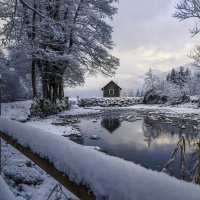 Les-zima-sneg-priroda-derevia