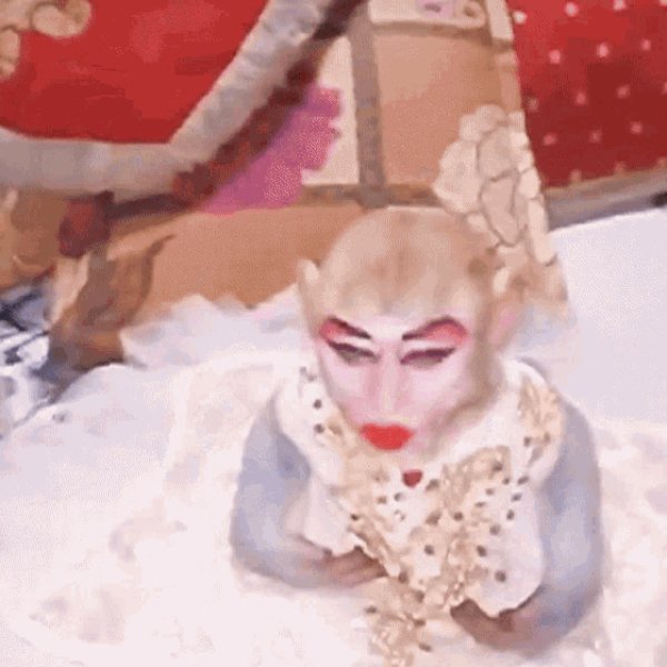 Monkey
