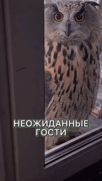 IMG 20231229 203218
